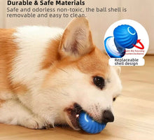 Carregar imagem no visualizador da galeria, Bolinha Dog - LATIDO PET