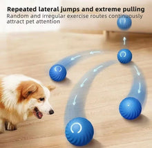 Carregar imagem no visualizador da galeria, Bolinha Dog - LATIDO PET