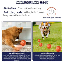 Carregar imagem no visualizador da galeria, Bolinha Dog - LATIDO PET