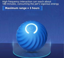 Carregar imagem no visualizador da galeria, Bolinha Dog - LATIDO PET