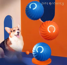 Carregar imagem no visualizador da galeria, Bolinha Dog - LATIDO PET
