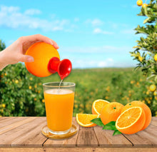 Carregar imagem no visualizador da galeria, Tirador de caldo ( limão e laranja ) - KIT 2 UNIDADES
