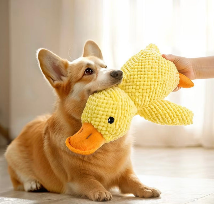 Patito