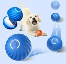 Carregar imagem no visualizador da galeria, Bolinha Dog - LATIDO PET
